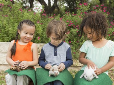 Three children seated in a row, each with a small animal on their lap.